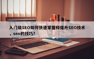 入门级SEO如何快速掌握和提升SEO技术，seo的技巧？