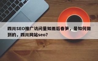 四川SEO推广访问量如雨后春笋，是如何做到的，四川网站seo？