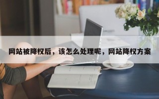 网站被降权后，该怎么处理呢，网站降权方案