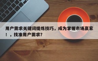 用户需求关键词提炼技巧，成为掌握市场赢家！，找准用户需求？