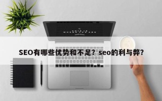 SEO有哪些优势和不足？seo的利与弊？