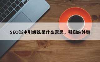 SEO当中引蜘蛛是什么意思，引蜘蛛外链