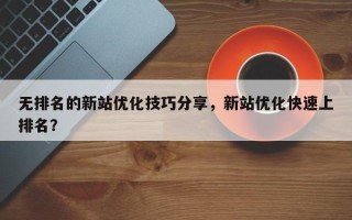无排名的新站优化技巧分享，新站优化快速上排名？