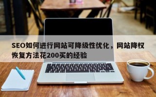 SEO如何进行网站可降级性优化，网站降权恢复方法花200买的经验